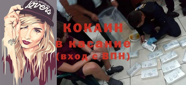 сатива Усинск