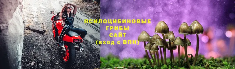 Псилоцибиновые грибы Magic Shrooms  Белый 